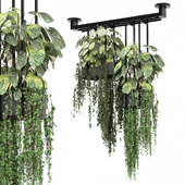 indoor hanging plants in metal box_  Set 1075