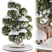 backyard and landscape snow garden tree and bush 257 Corona