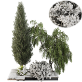 backyard and landscape snow garden tree and bush set 261