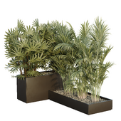 HQ Tree and bush garden box outdoor VOL 44