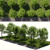 Landscape toolkit_ street