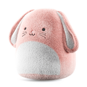 Plush Bunny Toy