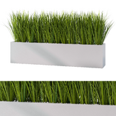 Outdoor Grass Plant Set.63