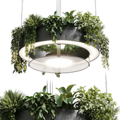 circle pot light pendant - plant light hanging 21