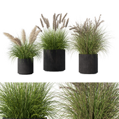 Outdoor Plant Set.64