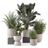 Indoor Plants  In Rusty Concrete Pot - Set 2052