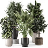 Indoor Plants in Ferm Living Bau Pot Large - Set 2067