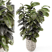 Indoor Plant in Handmade Terrazzo Pot - Set 2139