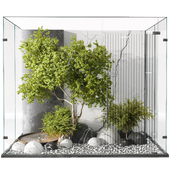 interior courtyard garden Shrubs and Branch Tree behind the glass 314