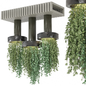 indoor hanging plants collecion set 1300