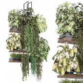 indoor hanging plants in metal box  Set 1303