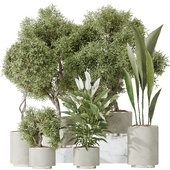 Indoor plants set 64