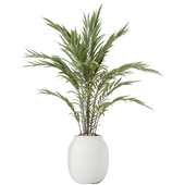 HQ HousePlants Pelagio Artificial Mountain Kentia Palm02