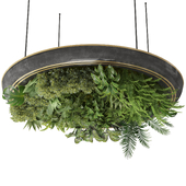 Indoor hanging plants set 34