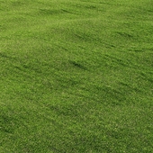 outdoor grass 3