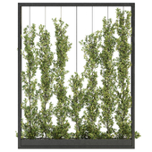 Vertical Garden Partition Set 02