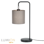 Lumion 8037-1T