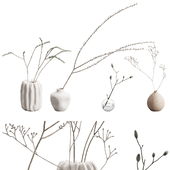 550 indoor plants 01 branches in a vases 01