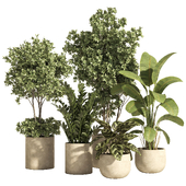 indoor plant set 85-Concrete pot