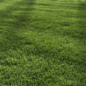 Garden Lawn 5
