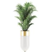 Plant 010