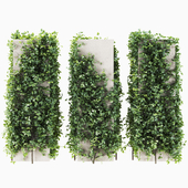 Plant Set 09