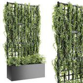 Plant 013