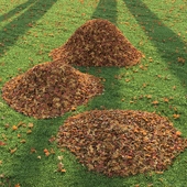 Lawn with leaves3