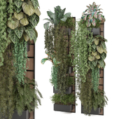 indoor hanging Plants Collection 1618