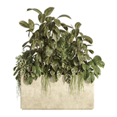 box of plants 06