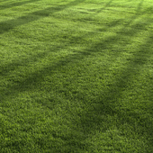 Garden Lawn 6