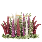 Outdoor Plant 001