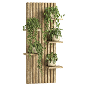 Indoor Plant - Wooden Wall