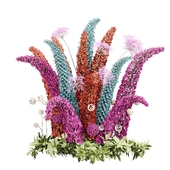 outdoor plant 002