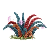 Outdoor Plant 003