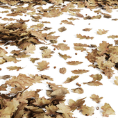 Autumn leaves 02 Low poly