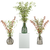 Plants Set 86