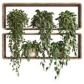 plants on shelf 28