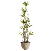 Plants Set 90