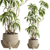 Plants Set 91