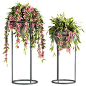 Plants Set 97