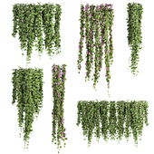 Plants Set 98