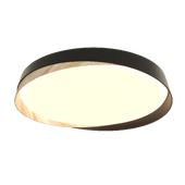 "OM" Citilux BONNY CL75445Х LED RGB Светильник с пультом