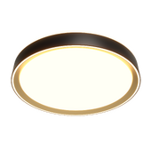 Citilux BOSS CL75135х LED RGB Светильник с пультом