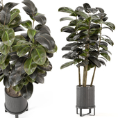Plants in Ferm Living Bau Pot Large_Set 3010