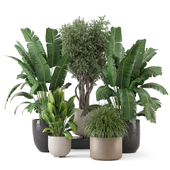 Indoor Plants in rusty Concrete Pot 3011