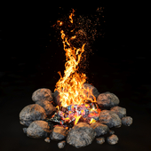 camping fire 0111