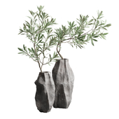 Marble Vases With Oliver Branch