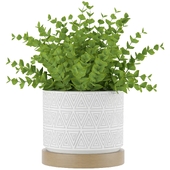 Eucalyptus & Tea Leaf Planters Brady Rose Boutique