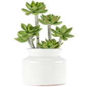 Artificial Green Succulent in Round Ceramic Pot